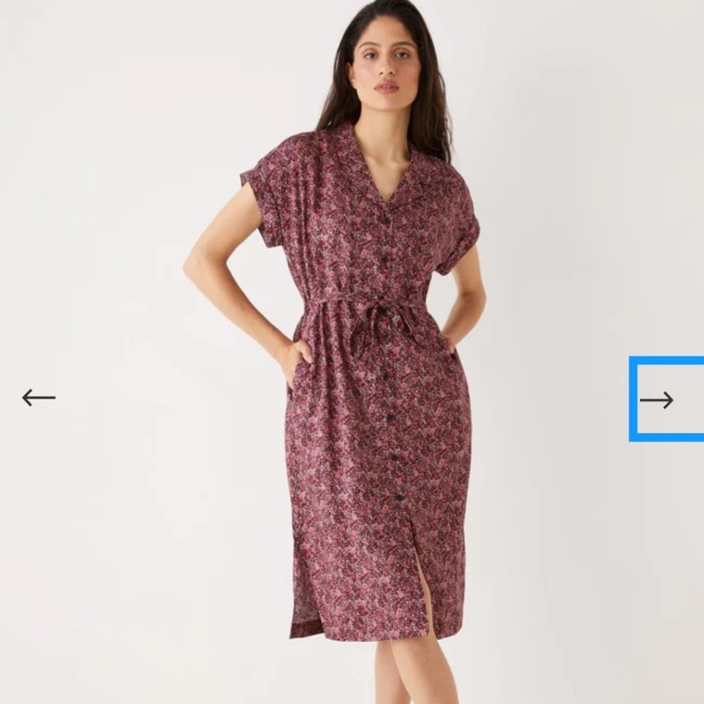 Frank and Oak botanical print dress